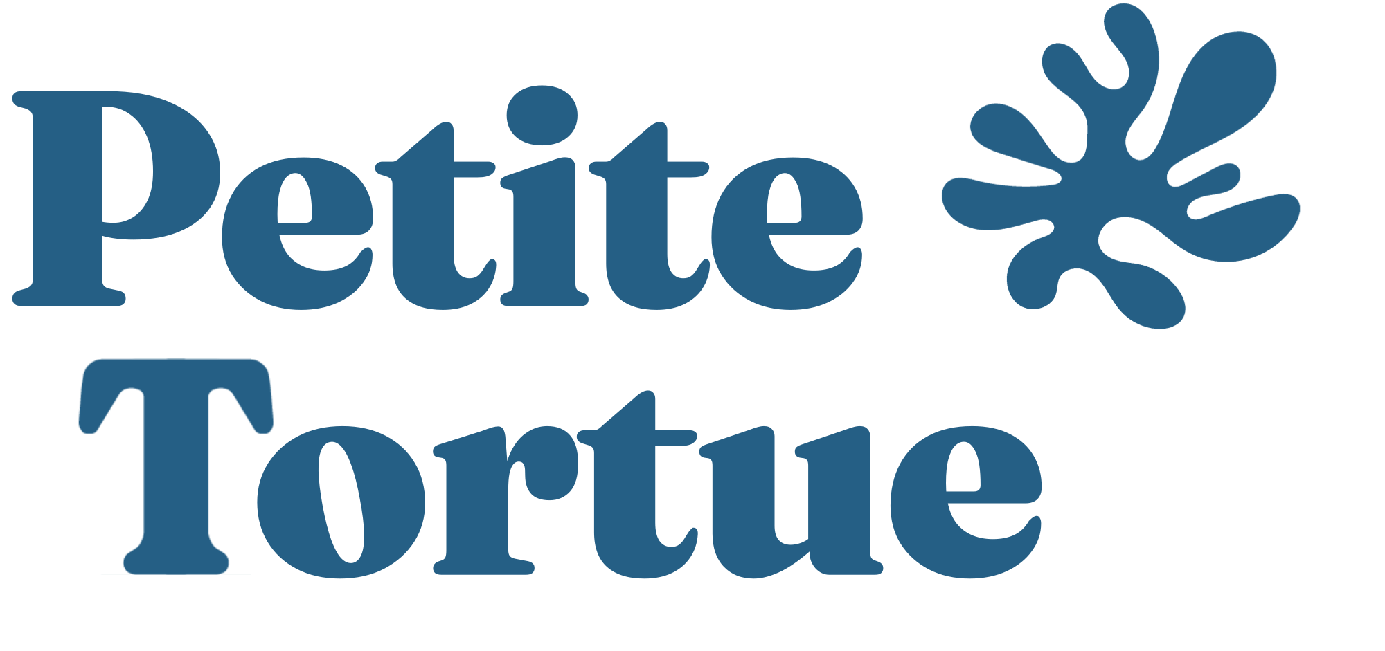 Petite Tortue